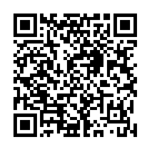 从极光号上下来的拓荒者们一个个已经快速的离开了码头二维码生成