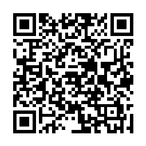 从残垣断壁和废墟深渊中伸出无数双瘦骨嶙峋的手二维码生成