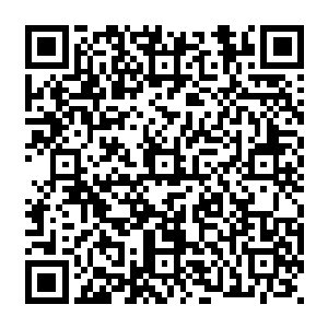 从每日从各城各域因为各种原因来到龙皇城中报道或者是参拜觐见的神将及其随侍络绎不绝二维码生成