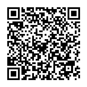 从混沌之源里面孕育的混沌灵气绝对是最为本源最为精纯的混沌灵气二维码生成