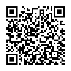 从爆炸中心不时还有几片宛如真实一样的灰色羽毛不断飘落二维码生成