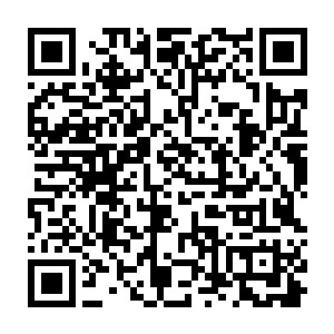 从玉石内流淌而出的澎湃能量迅速在他面前凝聚成一个三米长的巨大手指二维码生成