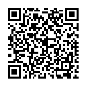 从球迷们欢呼声的分贝大小就可以得出哪位球员最受欢迎的结论二维码生成