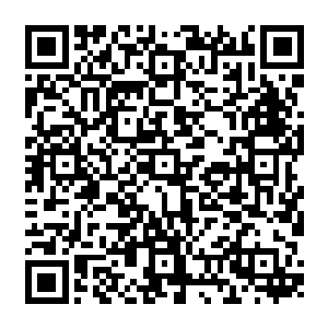 从眼前的光镜术呈现的图像可以这些气弹每一个都准确无误的击中了一个监控摄像头二维码生成