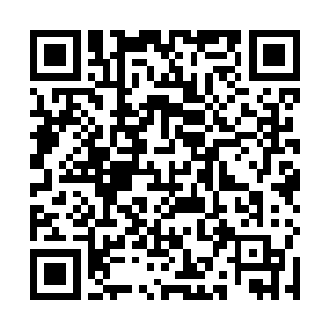 从程珈澜身上散发的绝对是用无数鲜血浇灌出来的杀意二维码生成