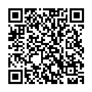 从红尘学院的优秀毕业生当中选择一批最优秀的进行跟踪拍摄二维码生成
