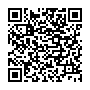 从而诱发了诸如缺氧养分供应不足等一大堆的问题出现二维码生成
