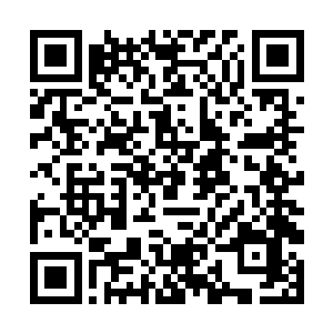 从而迎来接下来大约长达两周的竞争极小的放映环境二维码生成