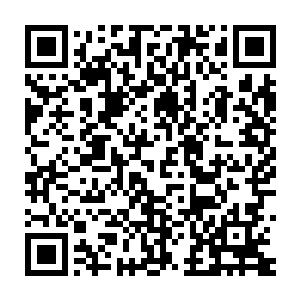 从苗御轩陨落之后一直下落不明的张涛竟然和小宝火狐站在了一起二维码生成