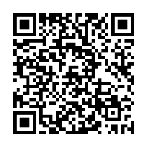 从这位洞主大人的身上看到了翻手为云覆手为雨的手段二维码生成