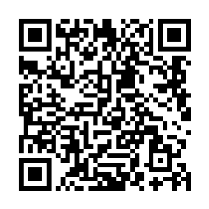 从远古时期到现在都过去这么长时间了他都没有恢复过来二维码生成
