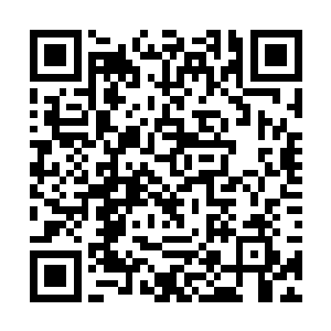从那血湖当中居然再次浮出来了大量的密密麻麻眼珠二维码生成