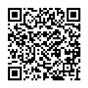 仔仔细细的将今天鉴宝会的重头戏讲给了叶莫听二维码生成
