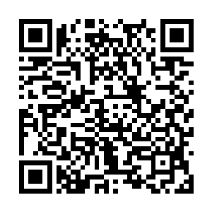 仔仔细细的把龙皇神殿的飞舟队伍查看打量了一遍二维码生成