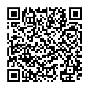 他一个极为偶然的陷害李枫的行为却不小心变成了省委常委斗争的一个棋子二维码生成