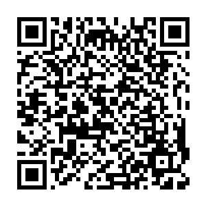 他一定会走向战场・那个时候・他一定会需要一个趁手的战斗伙伴二维码生成