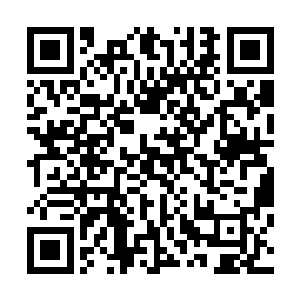 他万万没想到飞行速度最快的居然是这种陌生的不知名动物二维码生成