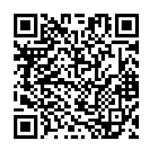 他不知道他们交流了什么但是他相信内容一定涉及到许紫烟二维码生成