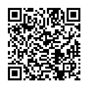 他不知道那一日在自己和陆为民之间横插一脚的家伙是什么人二维码生成