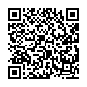 他不管公羊小胖做出这样的决定是出于什么样的目的二维码生成