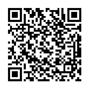 他与任禀白乃是晨曦小队扩建时新收编的两位七品二维码生成