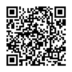 他之所以戴绿帽就是为了时刻提醒还有耻辱尚未血洗二维码生成