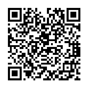 他也不再去让人叫那个叔伯了而是亲自朝着叔伯的房间之中走去二维码生成