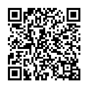 他也不想这东华仙师因为帮自己而在拍卖一行的名声扫地二维码生成