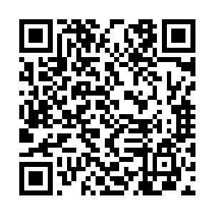他也以为人家只不过是个再普通不过的小姑娘罢了二维码生成
