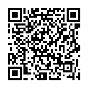 他也只找到了一块磨盘大小的巨石和八块石碾大小的石头二维码生成