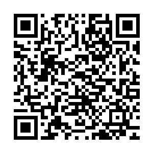他也可以看看这个传说中的夏天究竟有什么资格让羽仙子嫁给他二维码生成