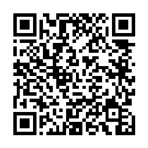 他也完全没有预料到史蒂文是因为这件事给雨果打电话的二维码生成