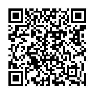 他也很清楚自己在沙洲区的表现已经给了陆为民很多口实二维码生成