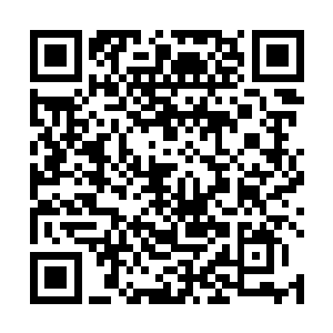 他也是在场所有散修中唯一一个没有对大阵进行攻击的二维码生成