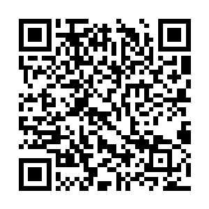 他也是忍不住发出了凄厉的惨叫声了……在临死前二维码生成