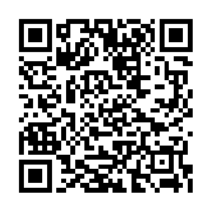 他也是笃定了不在最后关头宁毅根本不敢杀人质二维码生成