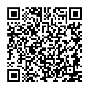 他也确实算得上是底牌尽出了……除了小龙这个最大的底牌还没有动用之外二维码生成