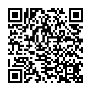 他亲眼看着牲口战从沉默的野人慢慢恢复到蹦单词的树男阿战二维码生成
