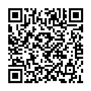 他仅仅依靠两年多的世界就攀登到了世界的巅峰二维码生成