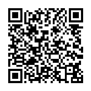 他仍然是没有任何歌手和唱片公司敢于轻视的一个音乐人二维码生成