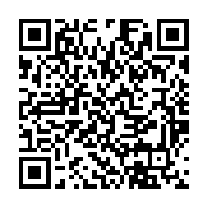 他从未见过有哪一个人带保镖这样在学校里招摇过市的二维码生成