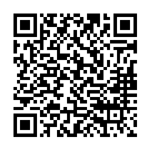 他从灭掉了伯爵之后就已经出现在贵族的视线之中了二维码生成