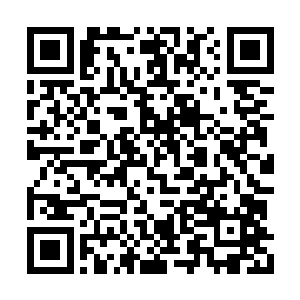 他以为什么样的伤痕都可以用温柔和时间去抚平二维码生成