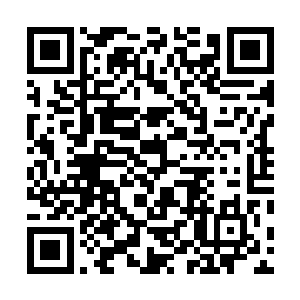 他们三个守护太上大长老和门主开启山门大阵时候的样子二维码生成