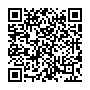 他们不少人反而觉得秦方夺冠的几率越来越大了的……毕竟二维码生成