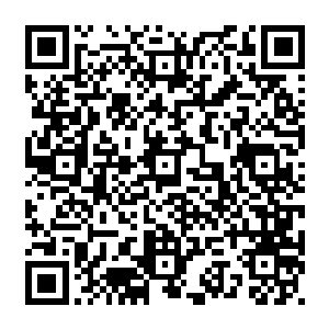 他们不知道许紫烟会出一个什么价格所以他们的目光都朝着许紫烟的包厢望了过来二维码生成