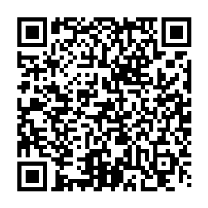 他们专门备下了这个可以全方位检测生物体征和提供治疗需求的临时医疗室二维码生成