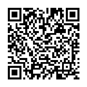 他们两个人还跟那些人说着什么话似乎是在安排他们去做什么二维码生成