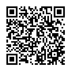 他们中绝大部分的人都是第一次见万象境界高手发威二维码生成