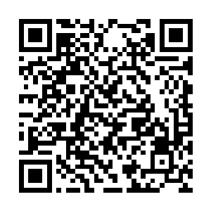 他们也应该拿不的确自己的同伴现在究竟是死是活二维码生成